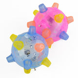 Dancing Ball Glowing Toy
