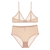 Transparent deep V underwear bra and high waist panties