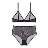 Transparent deep V underwear bra and high waist panties