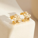 Beach Vacation Style Starfish Scallop Eardrops Earrings