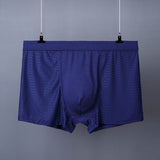 Men's Boxer Plus Size Ice Silk See Through Breathable Mesh Thin Boxer Shorts