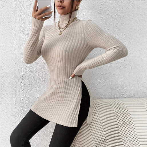Women's Turtleneck Pullover Clothing Sweater