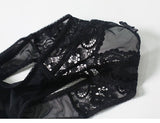 Lace sheer ladies panties