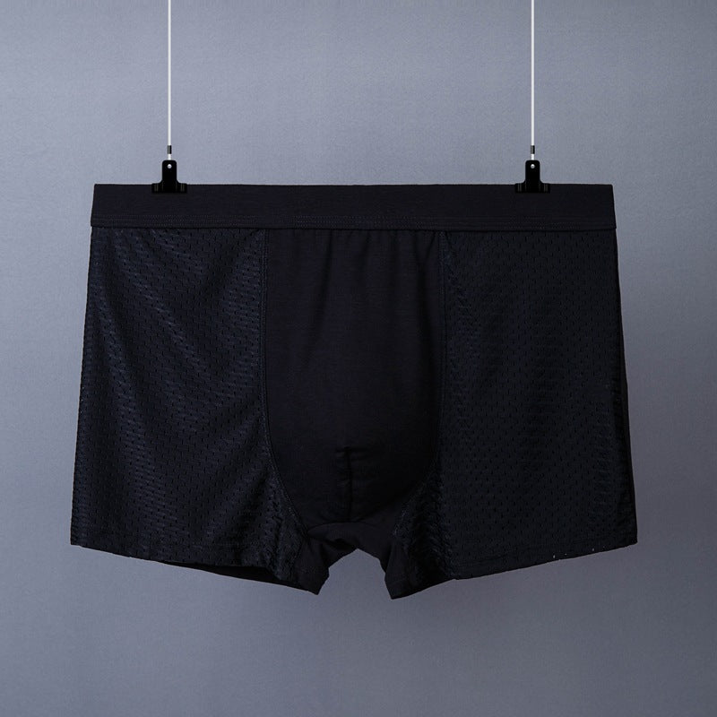 Men's Boxer Plus Size Ice Silk See Through Breathable Mesh Thin Boxer Shorts