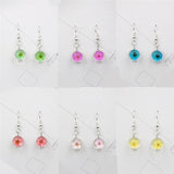 Dried Flower Glass Ball Crystal Earrings Creative Sweet