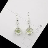 Dried Flower Glass Ball Crystal Earrings Creative Sweet