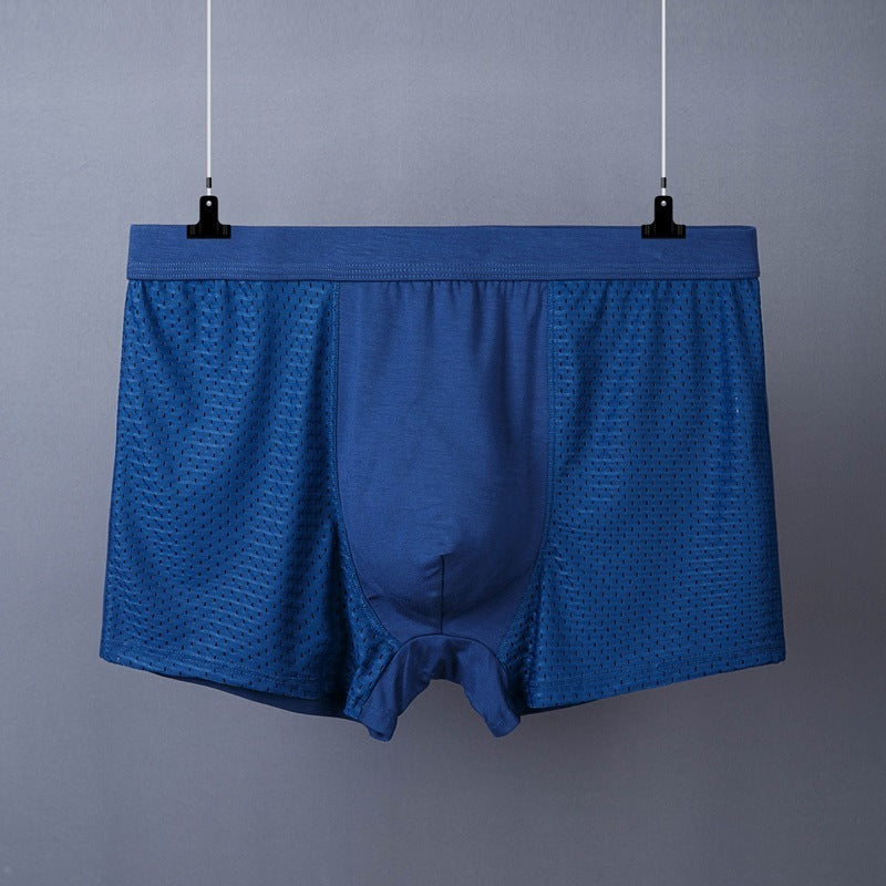Men's Boxer Plus Size Ice Silk See Through Breathable Mesh Thin Boxer Shorts
