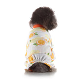 Pet Clothes Autumn And Winter At Home