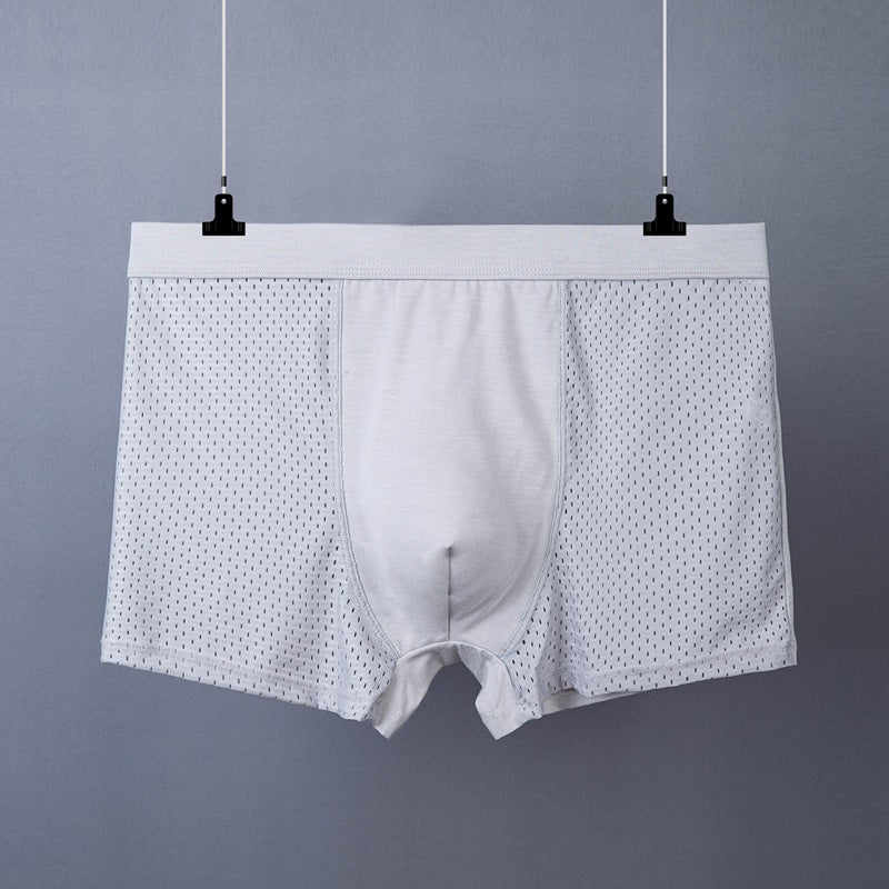 Men's Boxer Plus Size Ice Silk See Through Breathable Mesh Thin Boxer Shorts