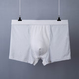 Men's Boxer Plus Size Ice Silk See Through Breathable Mesh Thin Boxer Shorts