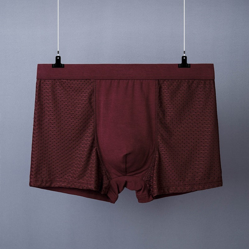 Men's Boxer Plus Size Ice Silk See Through Breathable Mesh Thin Boxer Shorts