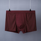 Men's Boxer Plus Size Ice Silk See Through Breathable Mesh Thin Boxer Shorts