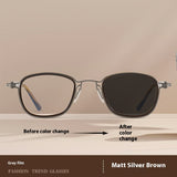 Vintage Brown Men's Polarized Sun Glasses Summer Automatic Photosensitive Color Changing UV Protection